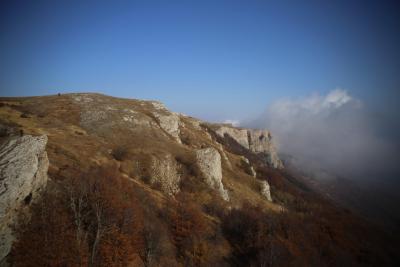 Прикрепленное изображение: clipboard_image_de8f8768_w.jpg